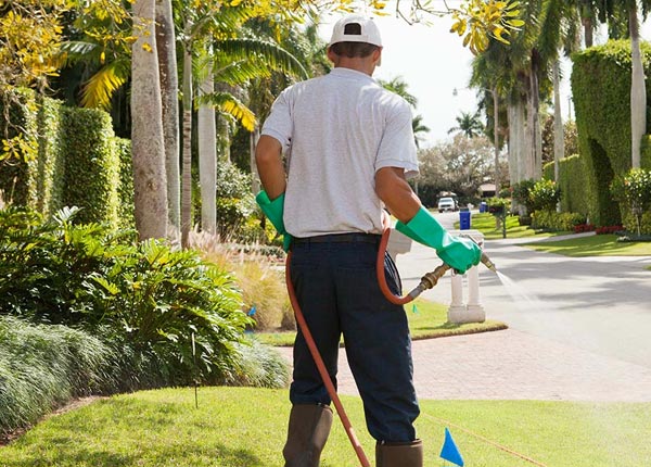 About Edenton NC Pest Control